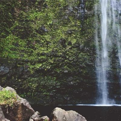 Lidi-lidian Varian 3